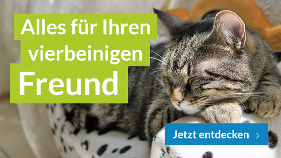 Tierbedarf bei Amazon